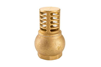 brass foot valves