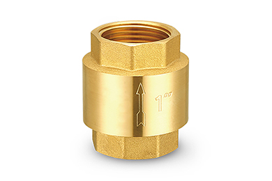 Brass check valve