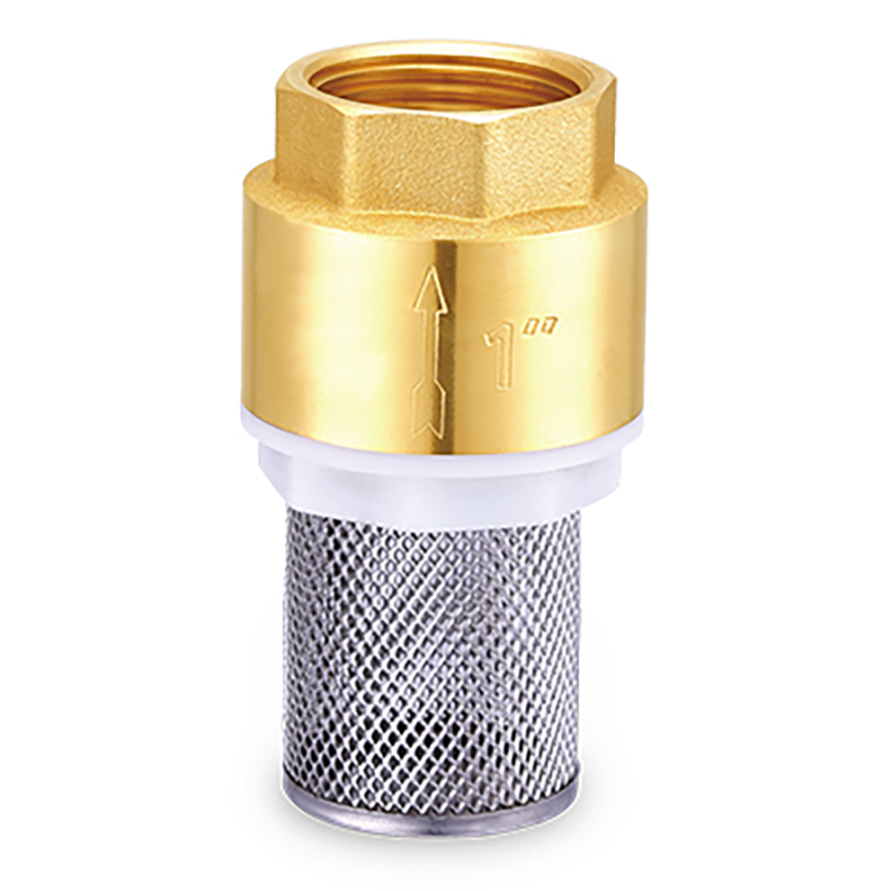 Brass Spring Check Valve with Filter NAFCO Valve